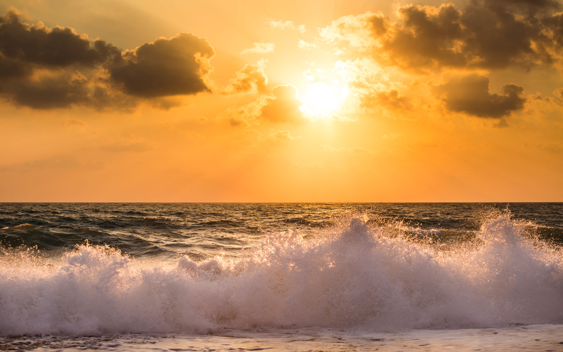 Co-Creator: What Is It?